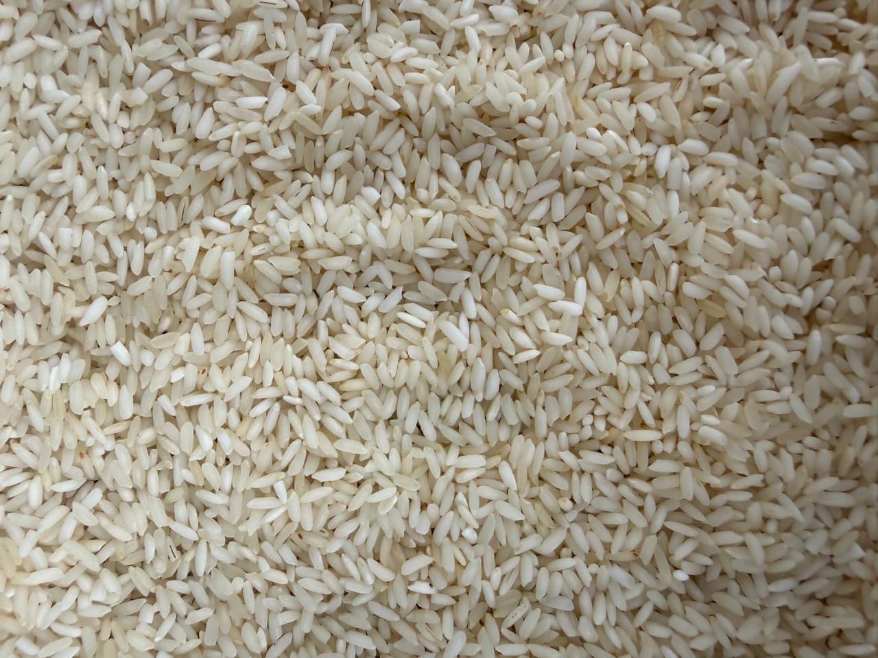 Kolam Bpt Rice